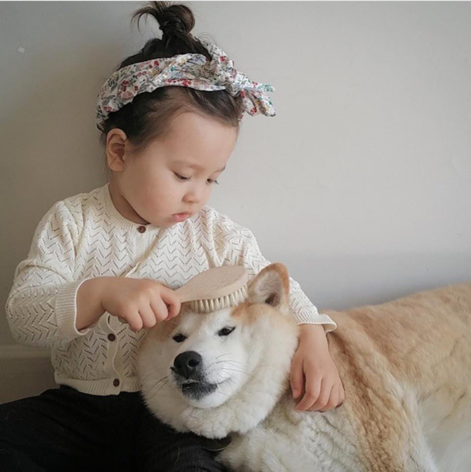 philo pompon © 2016 brilio.net