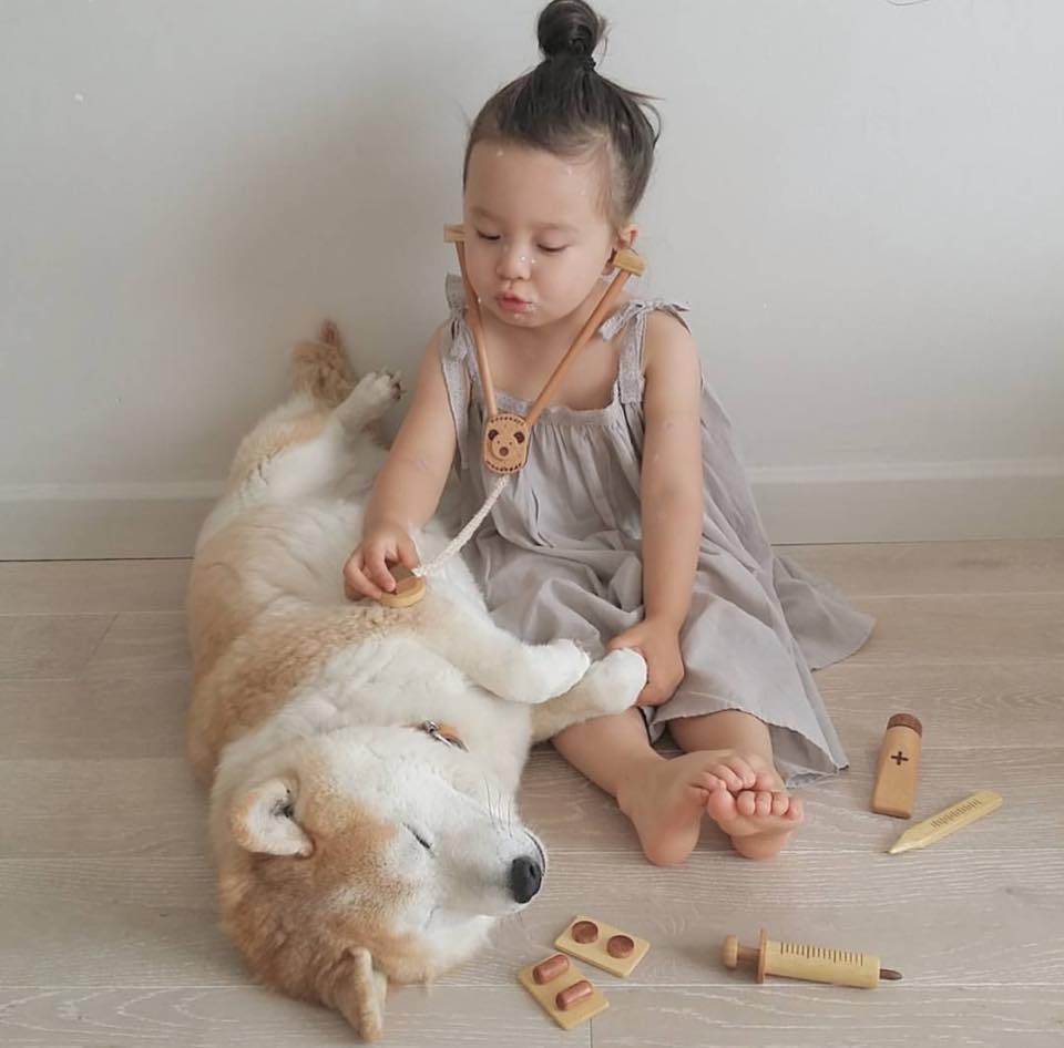 philo pompon © 2016 brilio.net