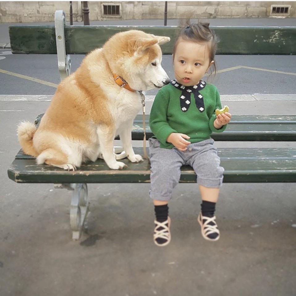 philo pompon © 2016 brilio.net