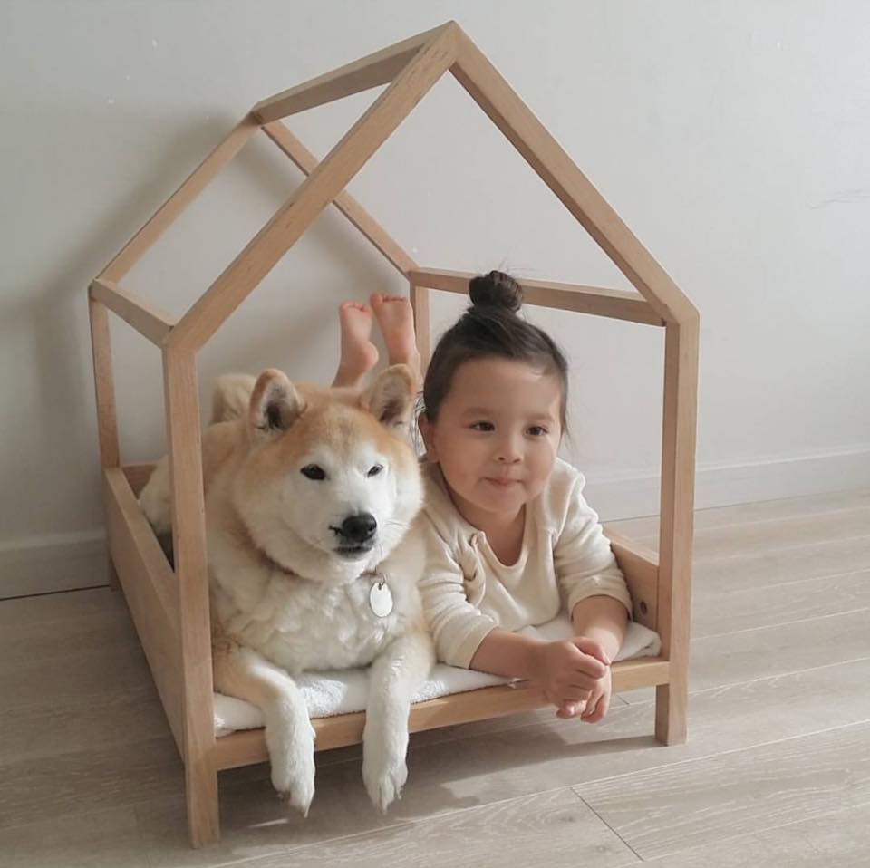 philo pompon © 2016 brilio.net