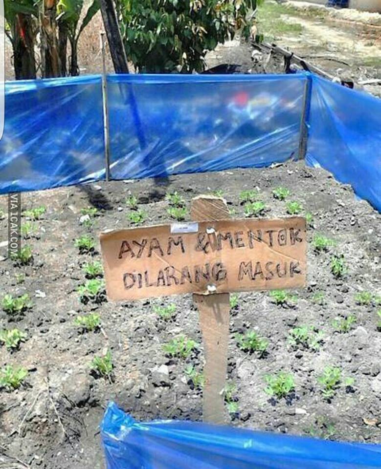 Indonesia only © 2016 brilio.net