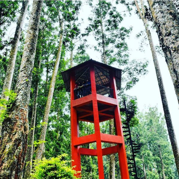 visit banyumas 1-12 © 2016 brilio.net