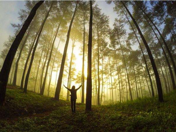 visit banyumas 1-12 © 2016 brilio.net