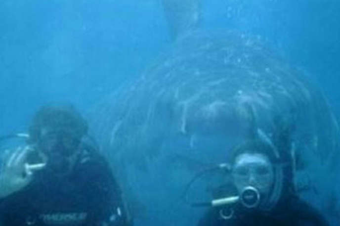 25 Photobomb serem © 2016 brilio.net 25 Photobomb serem © 2016 brilio.net