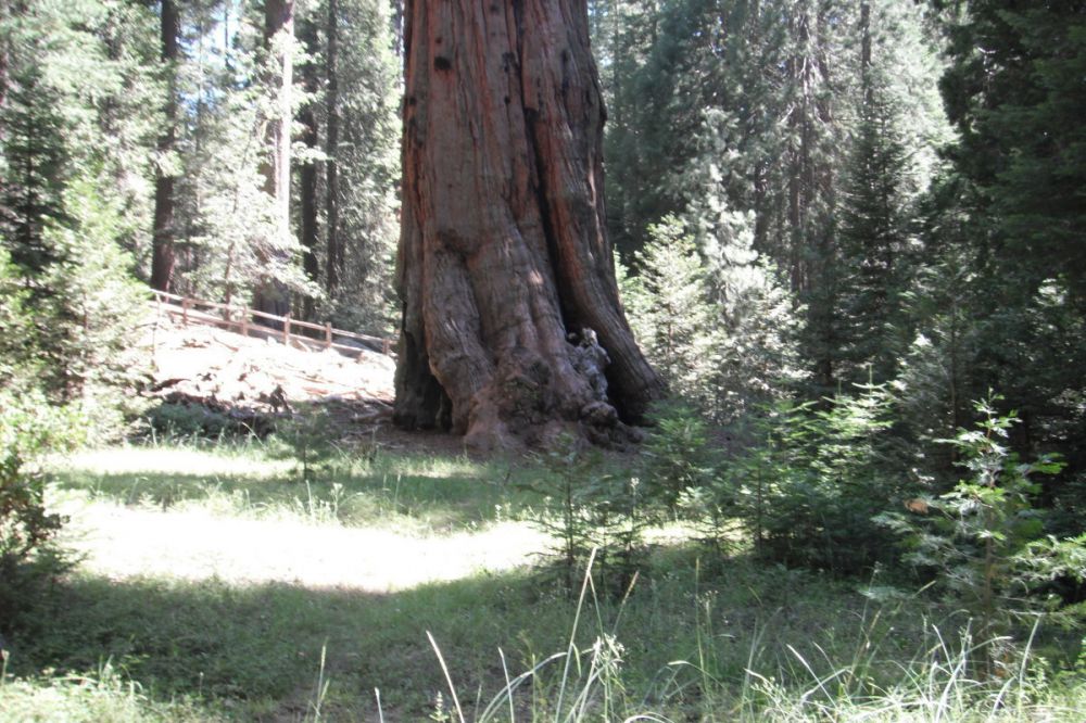 25 Photobomb serem © 2016 brilio.net 25 Photobomb serem © 2016 brilio.net