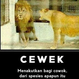 20 Masalah cewek © 2016 brilio.net