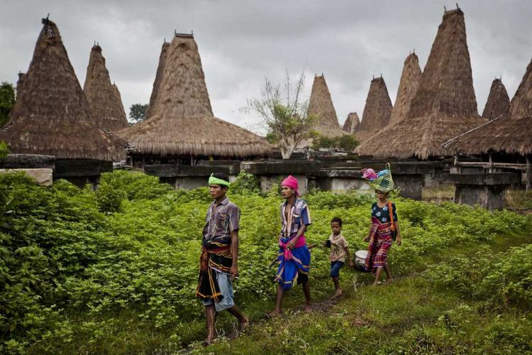 Solusi Desa Broadband Terpadu jalan keluar desa tertinggal