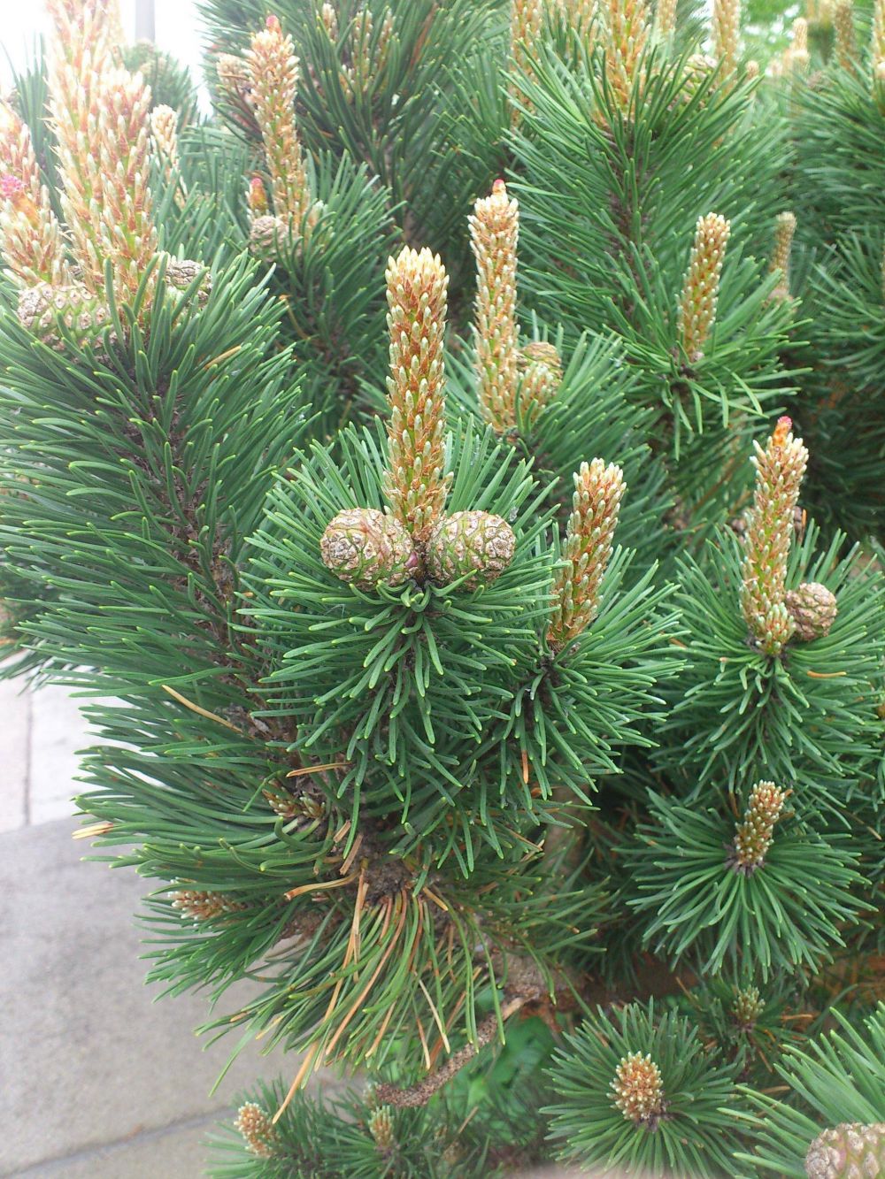 gambar uji pikiran kotor © 2016 brilio.net