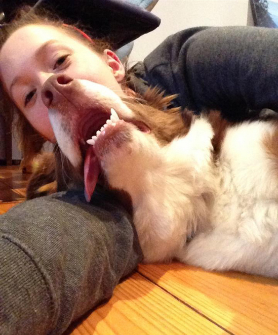 20 photobomb hewan © 2016 brilio.net