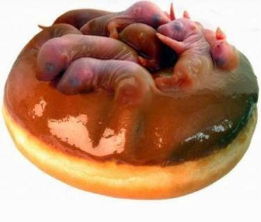 12 makanan menjijikkan © 2016 brilio.net 12 makanan menjijikkan © 2016 brilio.net