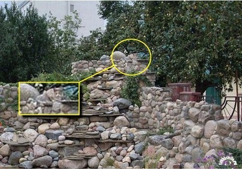 10 tebak kucing © 2016 brilio.net 10 tebak kucing © 2016 brilio.net