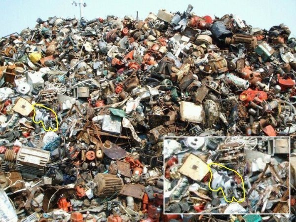 10 tebak kucing © 2016 brilio.net 10 tebak kucing © 2016 brilio.net