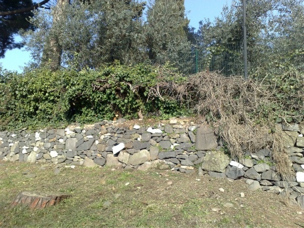 10 tebak kucing © 2016 brilio.net 10 tebak kucing © 2016 brilio.net