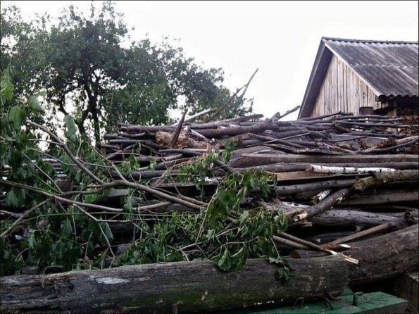 10 tebak kucing © 2016 brilio.net 10 tebak kucing © 2016 brilio.net