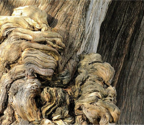 10 tebak kucing © 2016 brilio.net 10 tebak kucing © 2016 brilio.net