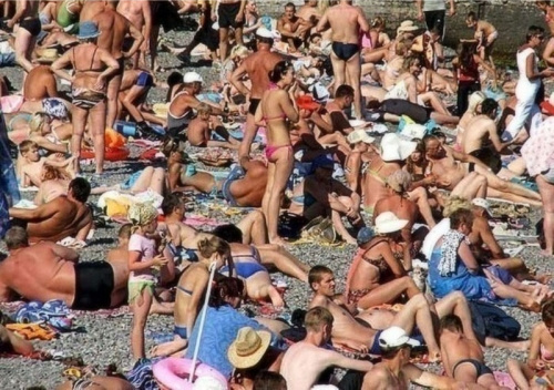 Jika kamu bisa temukan kucing pada 10  foto ini, matamu super tajam!