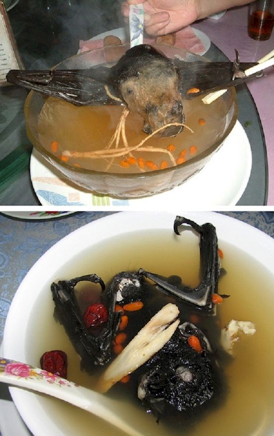 makanan jijik © 2016 brilio.net