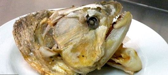 makanan jijik © 2016 brilio.net