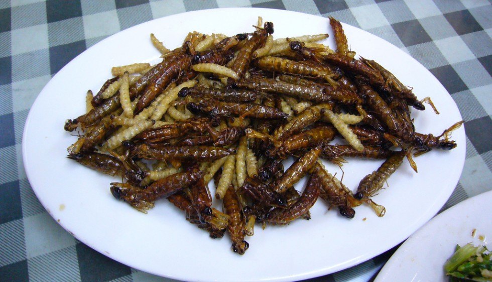 makanan jijik © 2016 brilio.net