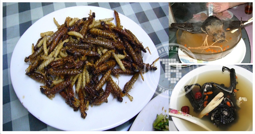 Begitu melihat, 13 makanan menjijikkan ini bikin nafsu makanmu hilang!