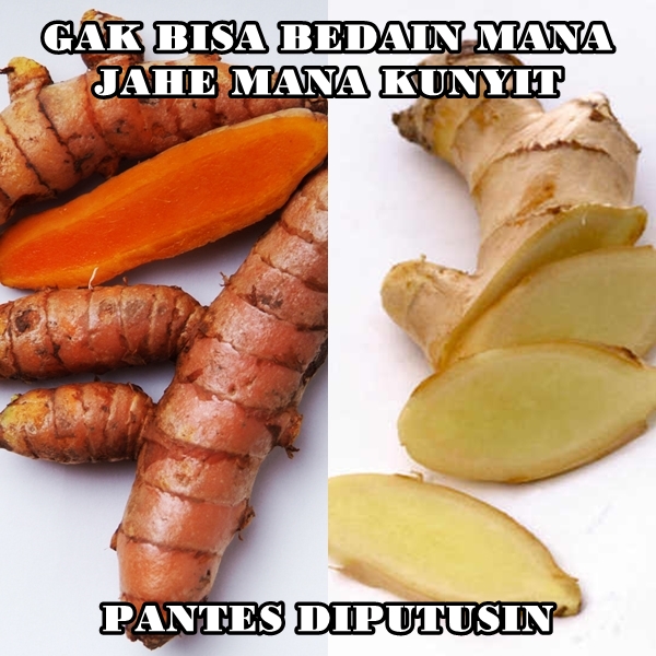 meme pantes diputusin  © 2016 brilio.net meme pantes diputusin  © 2016 brilio.net