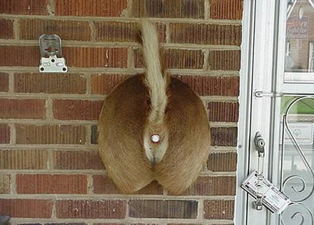 bel pintu Crooked Brains bel pintu Crooked Brains