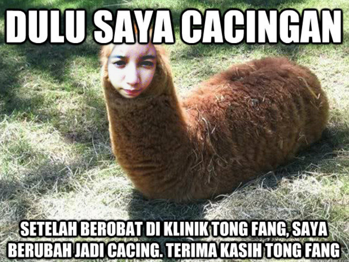 meme tongfang  © 2016 brilio.net meme tongfang  © 2016 brilio.net