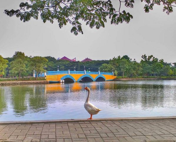 kampus instagram 1-12 © 2016 brilio.net kampus instagram 1-12 © 2016 brilio.net