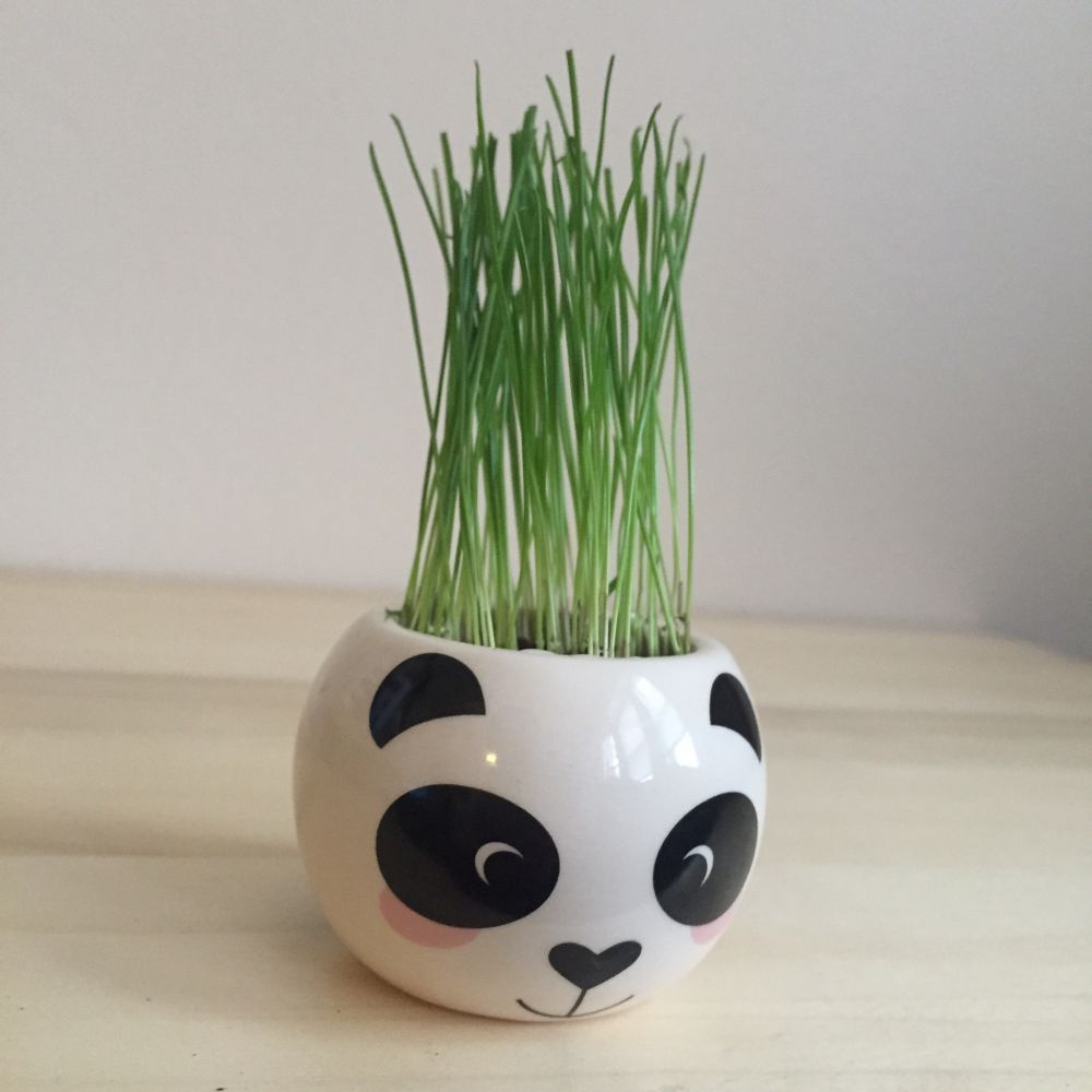 interior panda Pinterest interior panda Pinterest