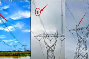 10 Foto bukti pekerjaan pegawai PLN itu bertaruh nyawa, kamu tahu?