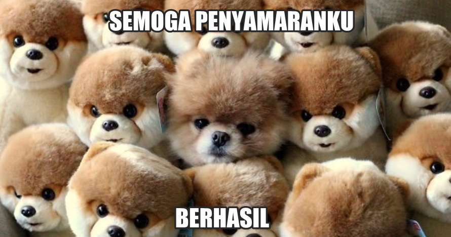 20 Tingkah hewan main petak umpet ini malah bikin ketawa geli