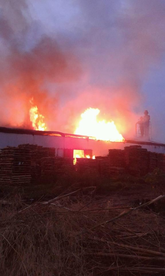 Pabrik Jokowi Terbakar © 2016 brilio.net Pabrik Jokowi Terbakar © 2016 brilio.net