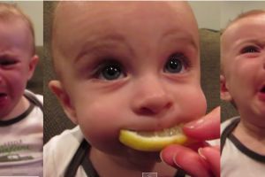 15 Ekspresi lucu bayi yang pertama kali mencicipi lemon, imutnya!