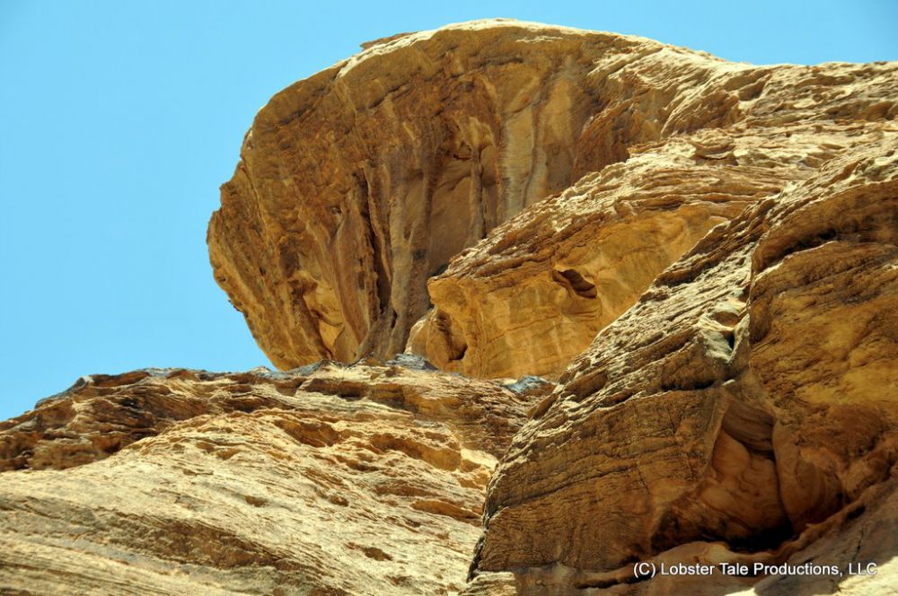 coba cari wajah © 2016 brilio.net