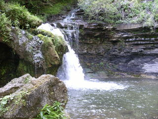 coba cari wajah © 2016 brilio.net