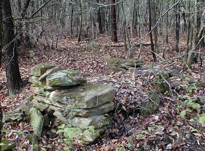 coba cari wajah © 2016 brilio.net