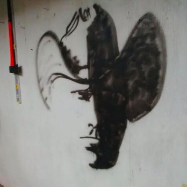 Hanya 1 dari 100 orang yang bisa melihat ini gambar apa!