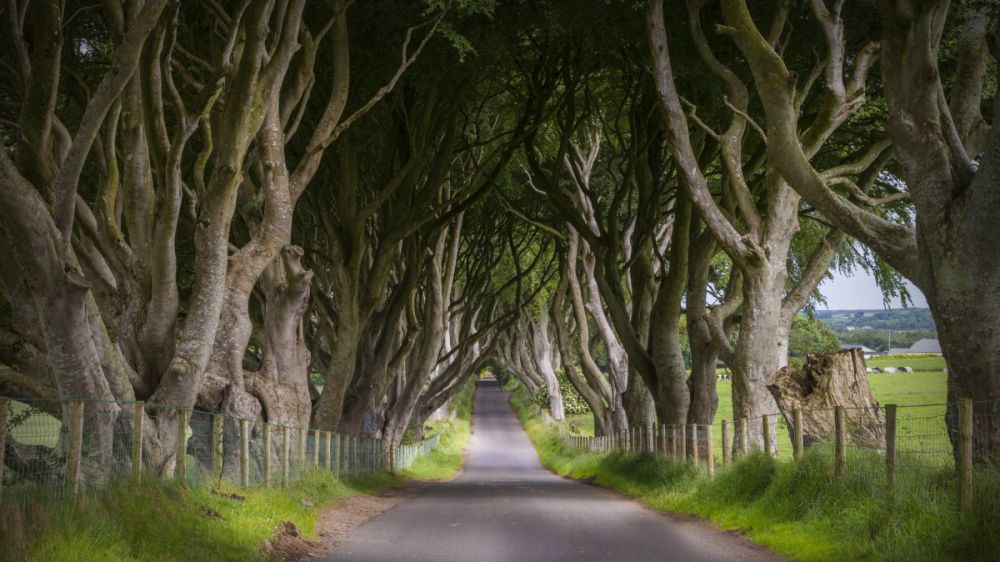 Setting GoT © 2016 brilio.net