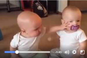 Lucunya dua bayi kembar ini rebutan dot, gemes banget deh!