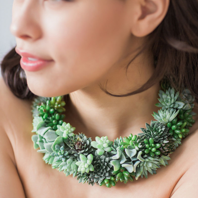 Aksesoris tanaman © 2016 brilio.net Aksesoris tanaman © 2016 brilio.net