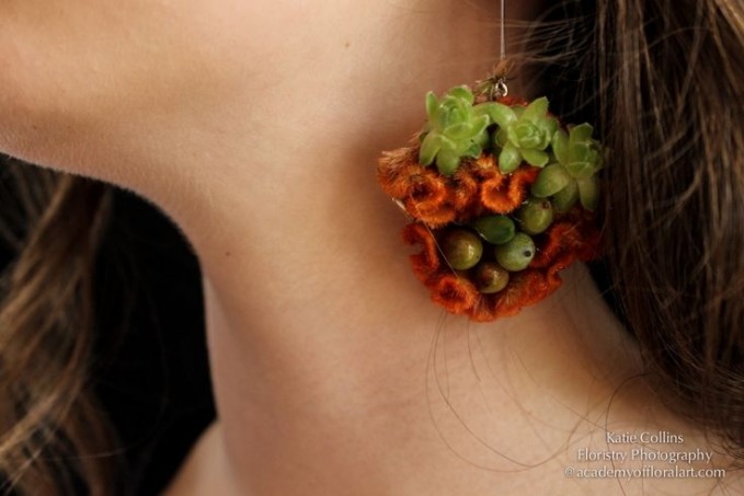 Aksesoris tanaman © 2016 brilio.net Aksesoris tanaman © 2016 brilio.net