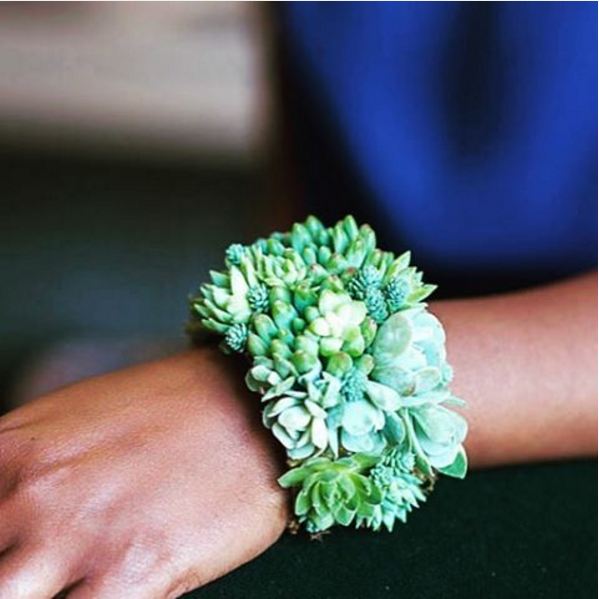 Aksesoris tanaman © 2016 brilio.net Aksesoris tanaman © 2016 brilio.net