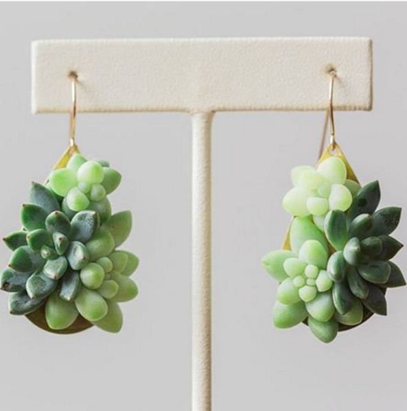 Aksesoris tanaman © 2016 brilio.net Aksesoris tanaman © 2016 brilio.net