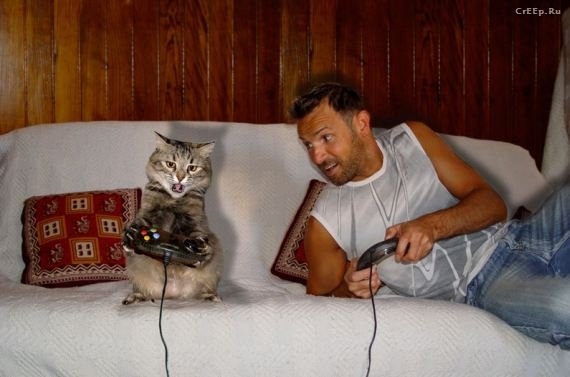 momen hewan dan manusia 1-20  © 2016 brilio.net