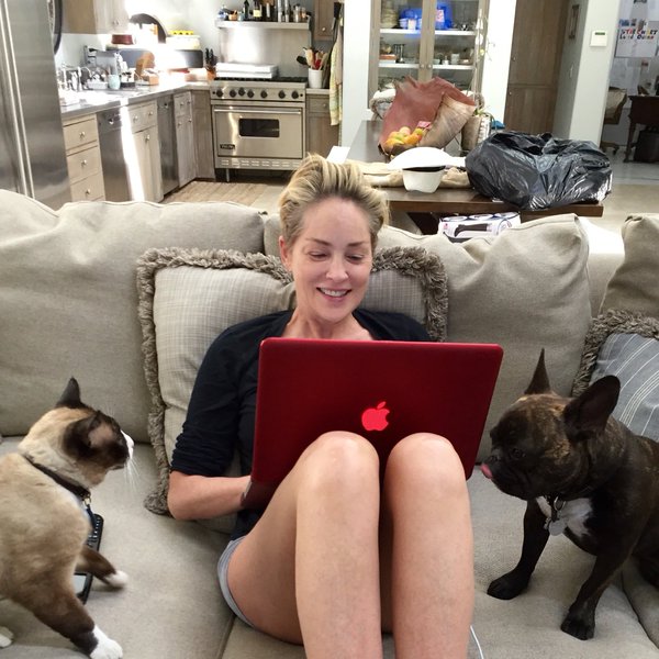 momen hewan dan manusia 1-20  © 2016 brilio.net