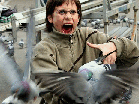 momen hewan dan manusia 1-20  © 2016 brilio.net