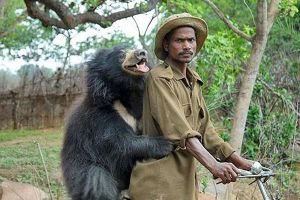 20 Foto hewan dan manusia yang bikin ngakak, kok bisa gitu ya?