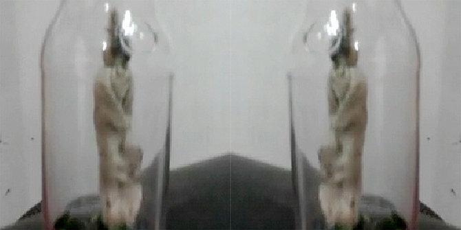 Hantu Pocong © 2016 brilio.net