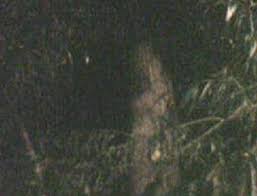 Hantu Pocong © 2016 brilio.net