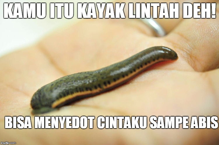 14 meme kamu tuh kayak © 2016 brilio.net 14 meme kamu tuh kayak © 2016 brilio.net